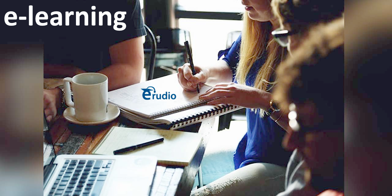 e-learning formazione web in piena autonomia tramite ERUDIO sistema formazione. Come valutare le prestazioni dei dipendenti.